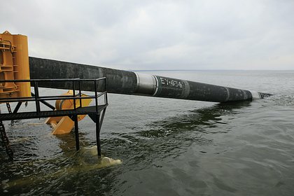 В Германии допустили согласование подрыва «Северных потоков» с правительством ФРГ