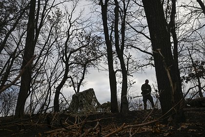 Зеленский назвал число погибших солдат ВСУ