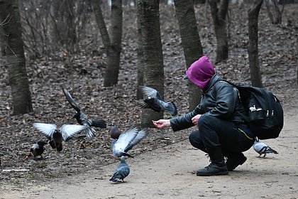 Москвичам назвали сроки наступления весны