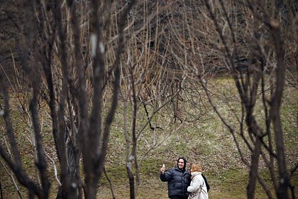 Москвичам рассказали о погоде в ближайшие дни