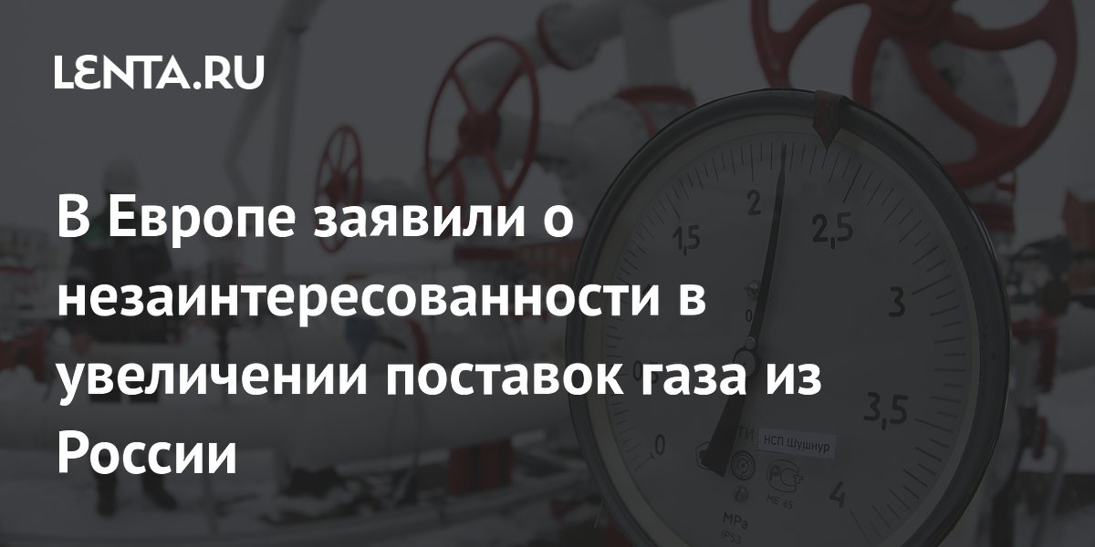 В Европе заявили о незаинтересованности в увеличении поставок газа из России