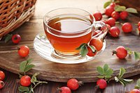 Шиповник: польза и вред. Как правильно заваривать чай из его плодов?