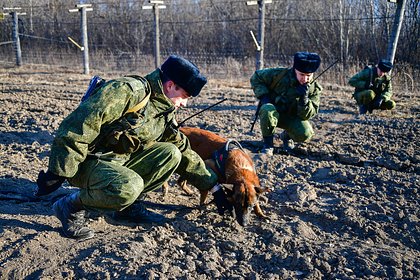 Подросток из Финляндии незаконно пересек российскую границу. Как это произошло и где он сейчас?