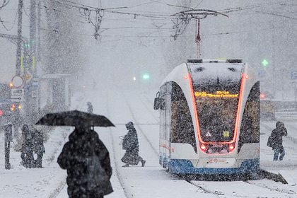 Синоптик пообещал сугробы и метель в Москве