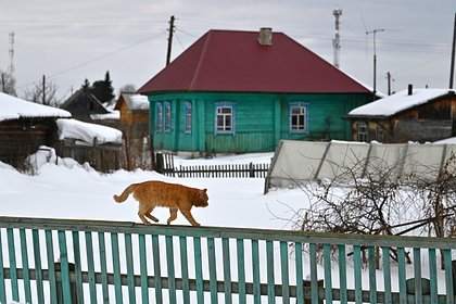 Житель Запорожья просидел дома больше двух лет из-за страха мобилизации