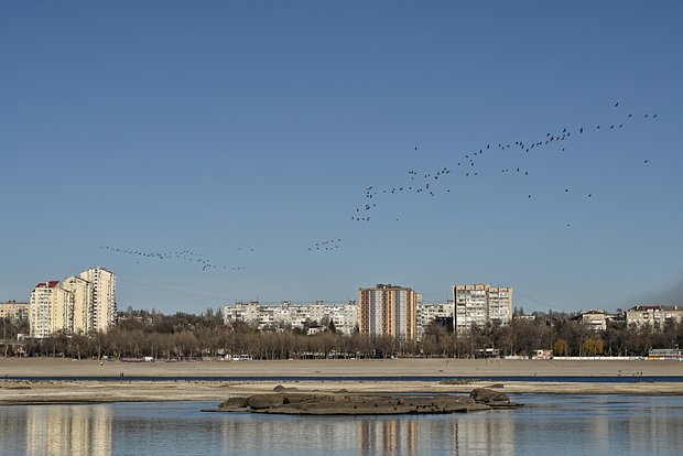 Вводная картинка