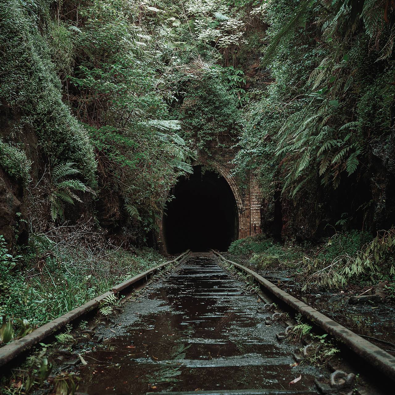 Фото: rangizzz / Shutterstock / Fotodom