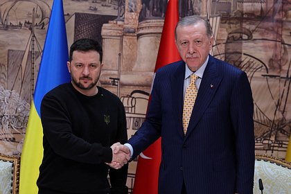 В Турции анонсировали встречу Эрдогана с Зеленским по урегулированию на Украине