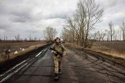 В Раде рассказали о войне за «труп» Украины