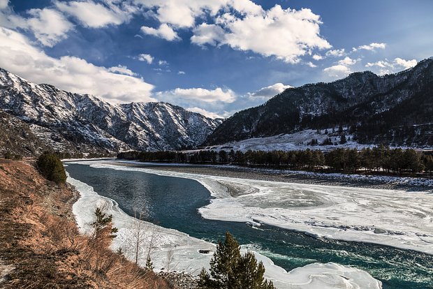 Вводная картинка