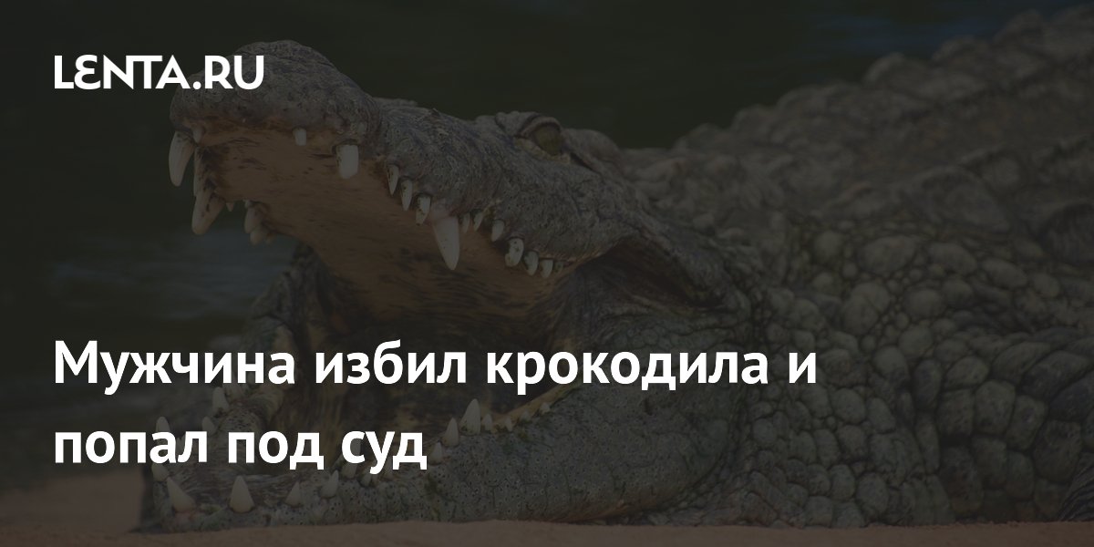 lenta.ru