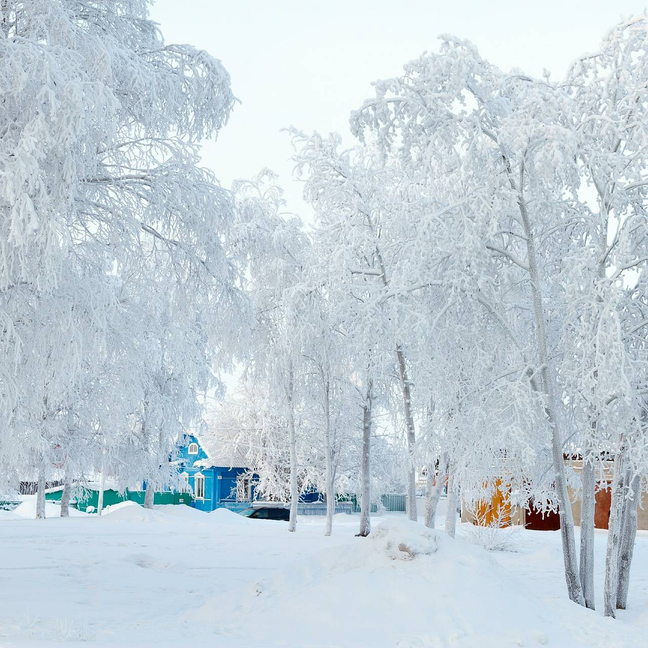 https://icdn.lenta.ru/images/2025/02/19/08/20250219080615417/square_1280_600a09ec0590d03017ac59ba9ecff0c3.jpg