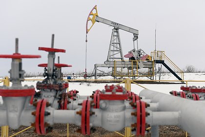 Грузия закупила рекордное количество российской нефти