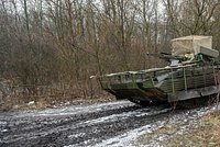 ВСУ накапливают войска у российской границы. Они могут готовиться к прорыву в Курской и Брянской областях 