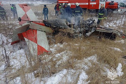 Появились первые фото сгоревшего в Нижегородской области самолета