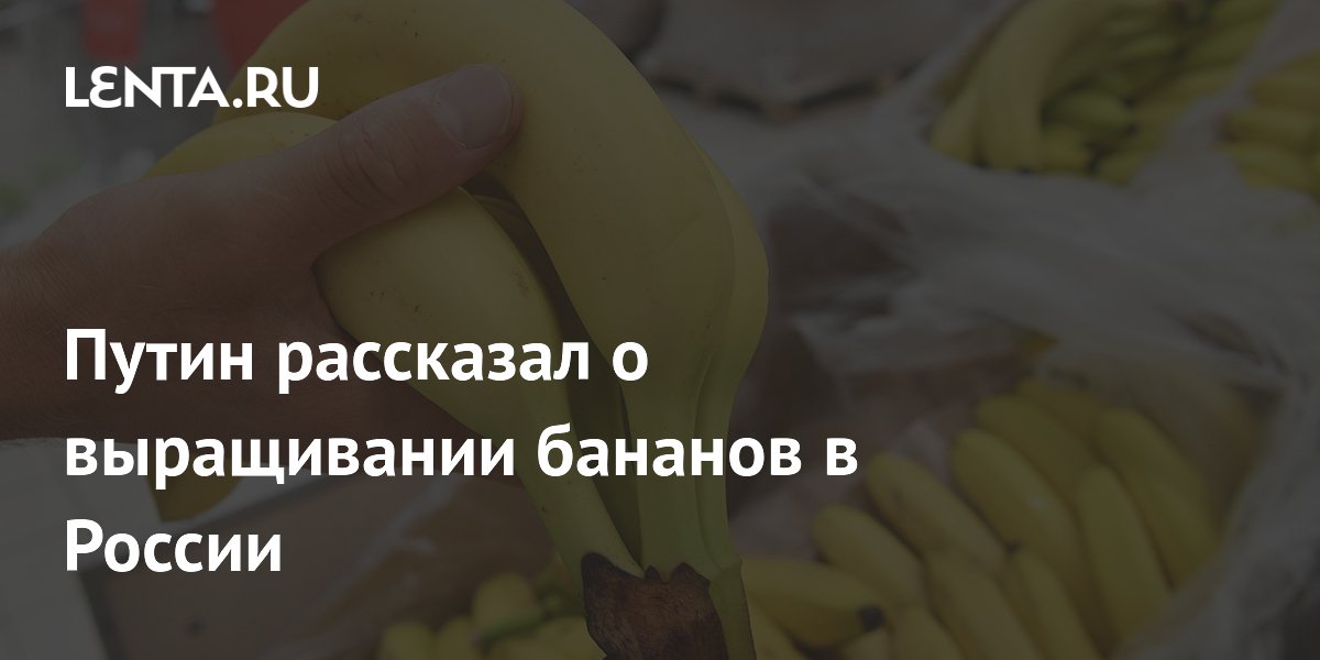 lenta.ru