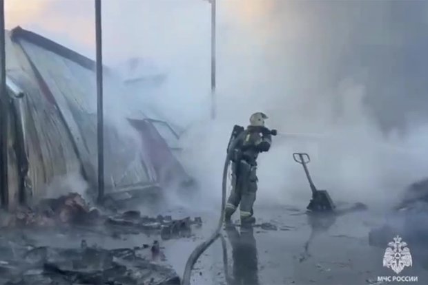 Вводная картинка