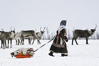 Российскому региону предсказали морозы в конце зимы 