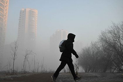 Москвичам пообещали аномальное тепло