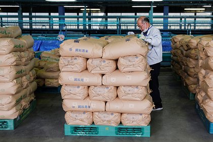 В Японии рассказали об ожиданиях от продажи госзапасов риса на аукционах