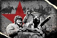 «Умница, а не кот!» Животные помогли СССР одержать победу над гитлеровской Германией. Как собаки, кони и коты спасали жизни?