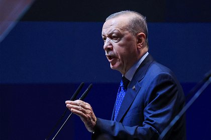 Эрдоган призвал дать исламской стране право вето в Совете безопасности ООН