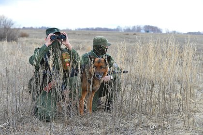 На границе с Финляндией задержали планировавшего вступить в РДК российского подростка