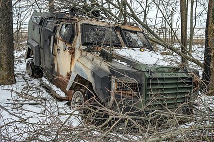 Стало известно об исчезновении десятков бойцов ВСУ в лесу Курской области