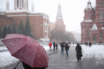 Москвичам пообещали дождь и гололедицу