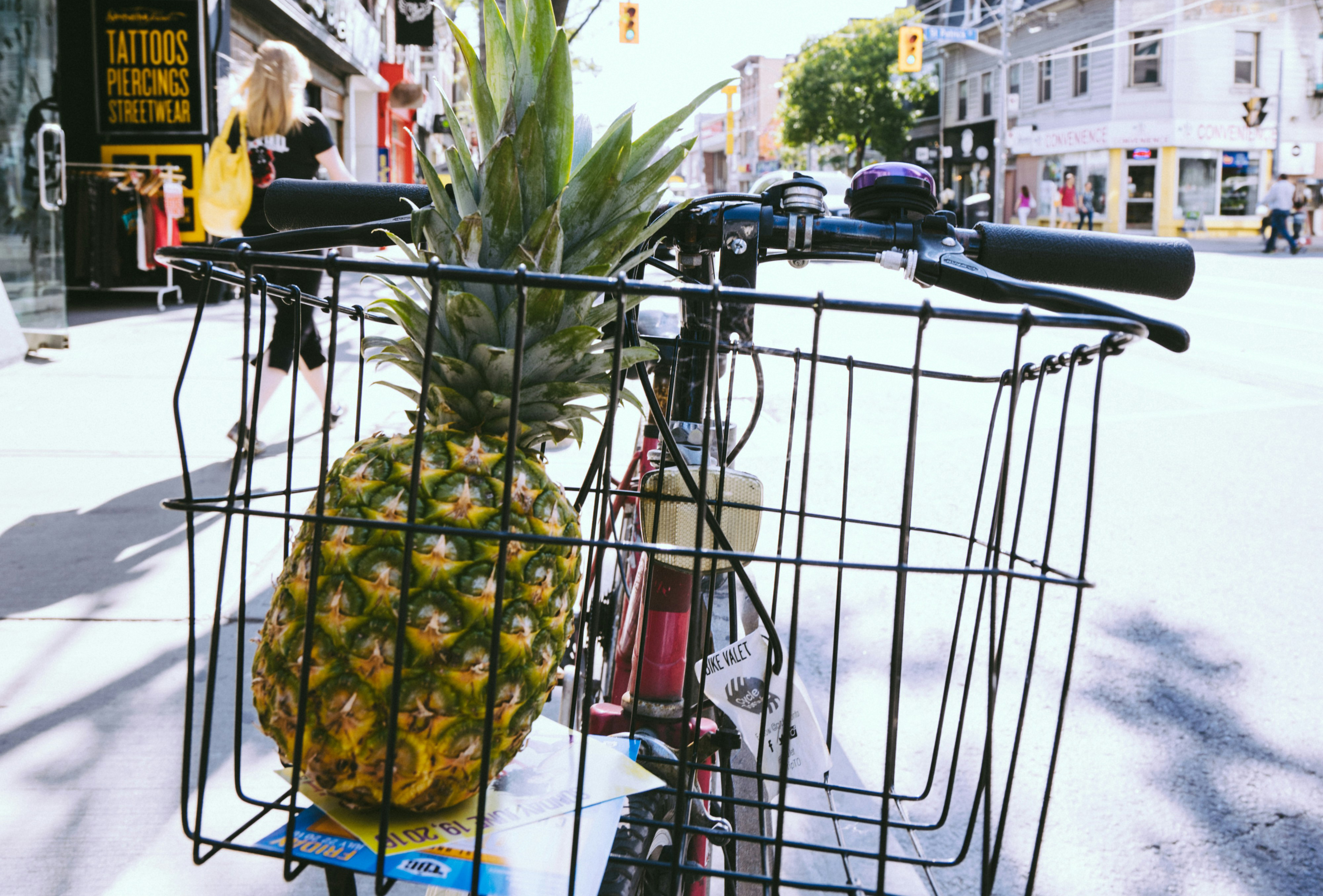 12&nbsp; �����: ����� �������� �������� � ������ � ����