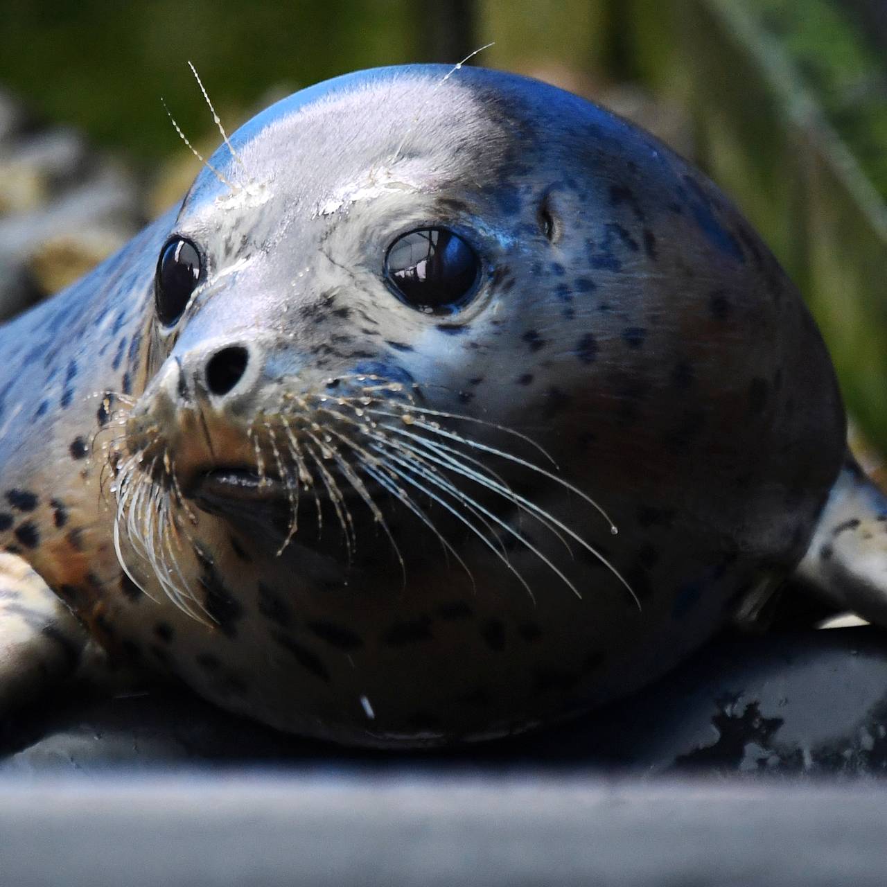 Фото: Виталий Аньков / РИА Новости