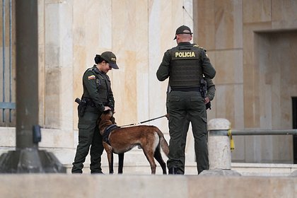 Полиция наткнулась на разлагающееся тело трансгендера в квартире туриста в Колумбии