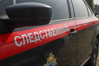 Стали известны подробности о расправе над супругами-пенсионерами в российском регионе