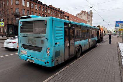 В Санкт-Петербурге начал работать «Подорожник»