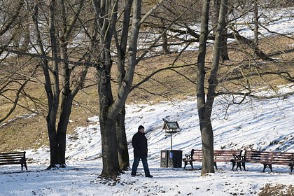 Москвичам предрекли мартовский снег после потепления