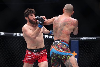 Россиянин Анкалаев победил бразильца Перейру и стал чемпионом UFC в полутяжелом весе