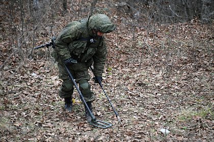 Житель граничащего с Украиной региона пострадал от взрыва мины