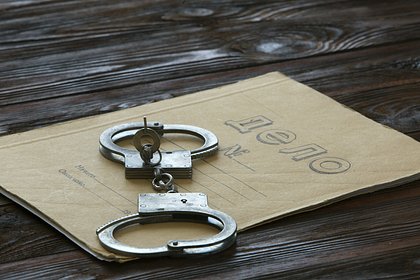 Следствие запросит меру пресечения блогеру Митрошиной