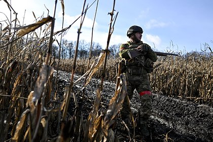 В ВСУ признали изобретательность российских войск на поле боя