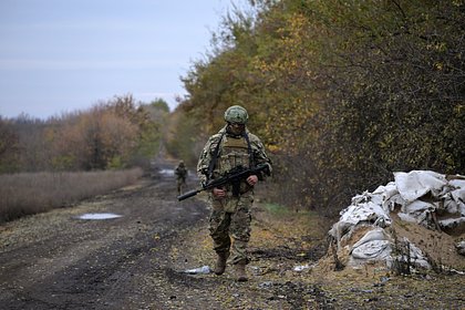 Раскрыта цель использования ослов и лошадей в зоне украинского конфликта