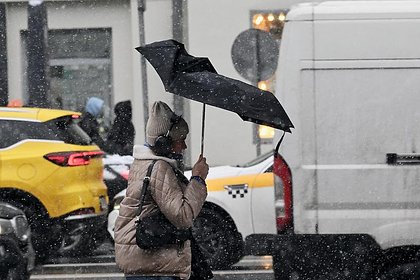 Москвичам предрекли откат в зиму