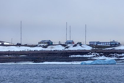 В МИД раскрыли новую угрозу НАТО в стратегически важном для России регионе