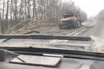 Кладбище сожженной техники ВСУ под Суджей сняли на видео