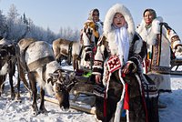 Праздник Севера. Жители Арктики рассказали о наступающем Дне оленевода. Что в программе?