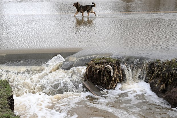 Вводная картинка