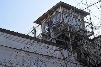 Ударивший гаишника в Подмосковье юноша получил один год колонии