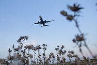 Российские пилоты все чаще встречают НЛО во время полетов. Что это за загадочные объекты? 