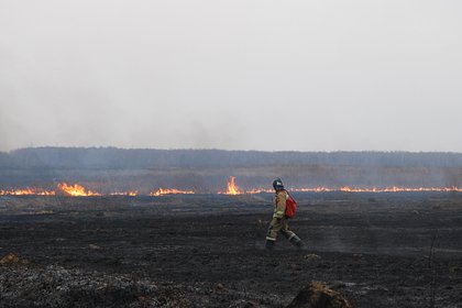 Пытающиеся спасти дома от бушующего в Сочи лесного пожара жители попали на видео