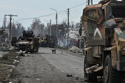 Иностранные специалисты попали в окружение в Курской области