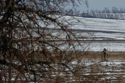 Раскрыты детали обсуждения Украины в разговоре Путина и Трампа